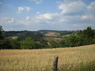 Ločevci