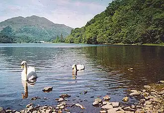 Image illustrative de l’article Loch Achray