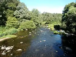 L'Ellé au Pont-Neuf (limite communale Locunolé-Guilligomarc'h).