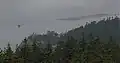 Flotte dans la baie de Skagit, Puget Sound, Oregon.