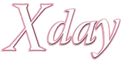 Image illustrative de l'article X Day