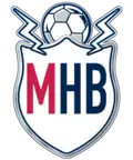 Logo alternatif.