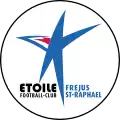 Cercle blanc au contour noir avec une étoile bleu azur stylisée.