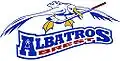 Logo utilisé entre 2008 et 2011