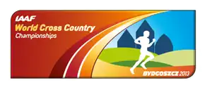 Description de l'image Logo Bydgoszcz 2013.png.