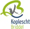 Drapeau de Kopstal
