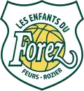 Logo depuis 2024.