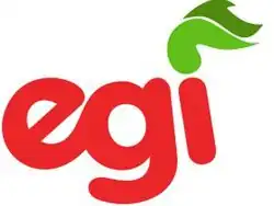 Image illustrative de l’article Euzko Gaztedi Indarra