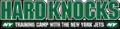 Logo en 2010.