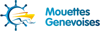 Image illustrative de l’article Mouettes genevoises