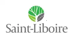 Drapeau de Saint-Liboire