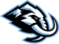 Logo depuis 2025