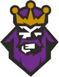 Logo alternatif en 1995-1996