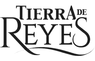 Logo original
