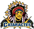Logo depuis 2008.