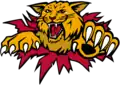 Logo de la franchise de 1996 à 2018