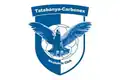 Ancien logo
