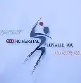 Logo du VOO HC Herstal-Flémalle ROC