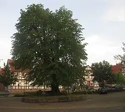 Vollmarshausen (de)