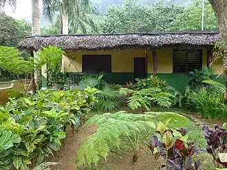 Jardin