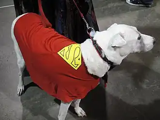 Cosplay de Krypto