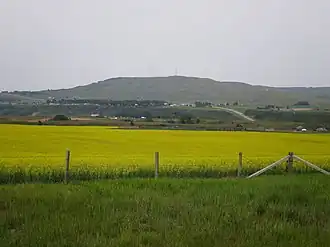 Longview (Alberta)