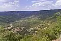 Valle del Rio Arenoso (Cardeña).