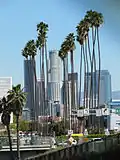 La plus vieille allée de Washingtonia robusta à Los Angeles, plantée en 1875.