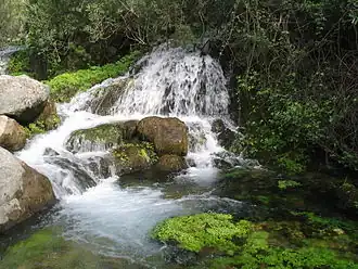 Le Majaceite à sa source