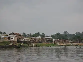 Loukoléla