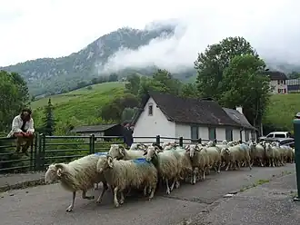 Lourdios-Ichère
