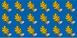 Drapeau de Municipalité de LubānaLubānas novads