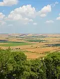 Campagne de Lucera.
