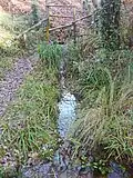 La source, qui se jette dans le ruisseau de Canteloup.