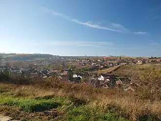 Lug (Beočin)