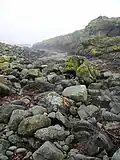 Lunga comporte de nombreux éboulis.