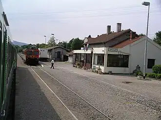Lupoglav