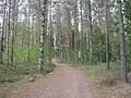 Sentier de randonnée de Luukki.