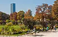 Chaises, fauteuils et relax au jardin du Luxembourg, la tour Montparnasse au dernier plan.