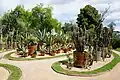 Jardin mexicain du jardin botanique de Lyon.