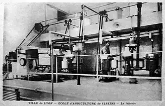 Cellier et laiterie.