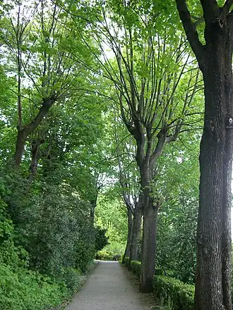 Image illustrative de l’article Parc des Hauteurs