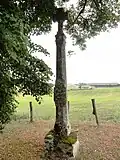 Paysage avec croix.