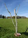 Champ de bataille, reconstitution de l'Arbre du danger