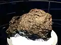 Fragment de 360&nbsp;kg au Muséum national d'histoire naturelle, à Paris