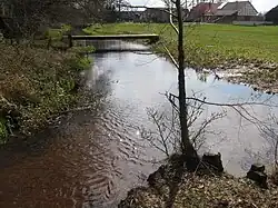 Schmalwasser
