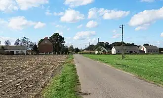 Młody Niedróż