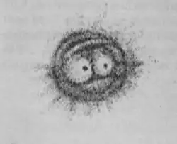 M97, telle qu'elle fut publiée par William Parsons, et qui a donné naissance au terme «&nbsp;nébuleuse planétaire&nbsp;».