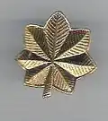 Insigne de major, 2e&nbsp;Guerre mondiale, marqué « Should-R-Form », cet insigne est cintré pour s'adapter à la forme de l'épaule.