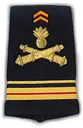 Fourreau d'épaule de grade de major de l'Armée de terre française - artillerie 28°groupe géographique